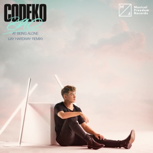 Codeko — Bad At Being Alone (Jay Hardway Remix) - 0:00