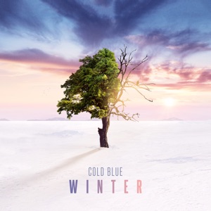 Cold Blue — Reflections