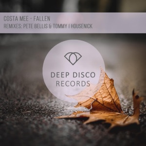 Costa Mee — Fallen