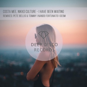 Costa Mee & Nikko Culture — I Have Been Waiting (Geom Remix)