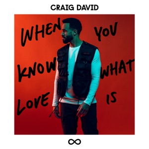 Craig David — When You Know What Love Is