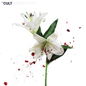 Cult — Dark Energy