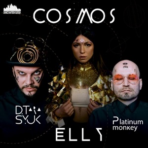 Elly Wild, D.Tarasyuk & Platinum Monkey — Cosmos (Dj Kapral Remix)