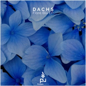 Dachs — Fiore Blu
