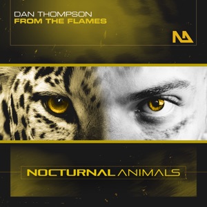 Dan Thompson — From the Flames (Extended Mix)
