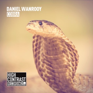 Daniel Wanrooy — Cobra (Extended Mix)