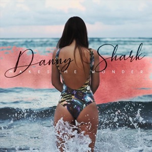 Danny Shark — Makes Me Wonder