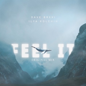 Dave Brevi & Ilya Kolchin — Feel It