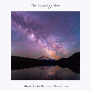 Gai Barone, Dave Damage, Micah Paul Lukasewich — Soaring feat. Dave Damage (Extended Mix)
