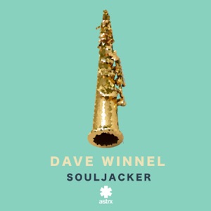 DAVE WINNEL — Souljacker
