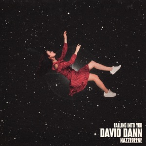 David Dann — Falling Into You