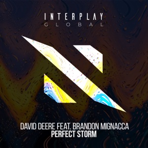 David Deere ft Brandon Mignacca — Perfect Storm (Extended Mix)