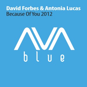 David Forbes — Because Of You 2012 (Dub Mix Edit)