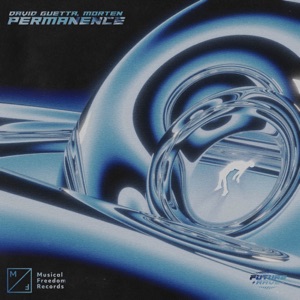 DAVID GUETTA/MORTEN — Permanence