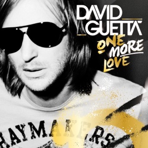 David Guetta — Who's That Chick?
