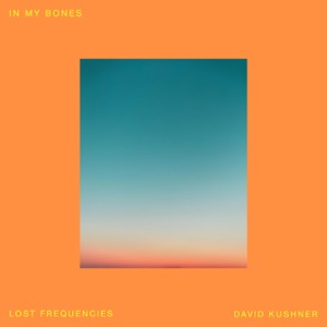 Lost Frequencies, David Kushner — In My Bones
