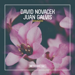 David Novacek & Juan Galvis — Akkadian (Extended Mix)