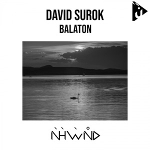David Surok — Balaton (Original Mix)
