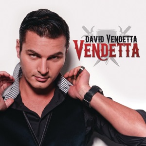 DAVID VENDETTA feat.RACHAEL STARR — HOLDING ON