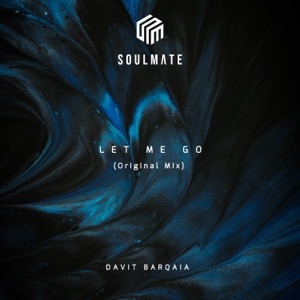 Davit Barqaia — Let Me Go