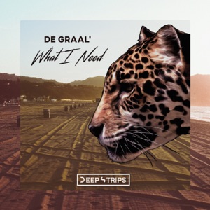 DE GRAAL' — What I Need
