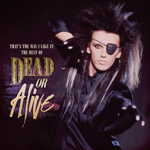Dead Or Alive — That's the Way (I Like It)