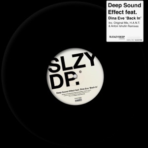 Deep Sound Effect feat. Dina Eve — Back in