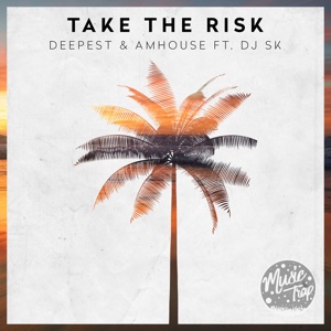 Deepest & AMHouse & Dj SK — Take the Risk