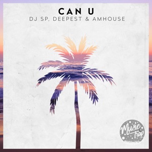 DJ SP, Deepest, AMHouse — Can U