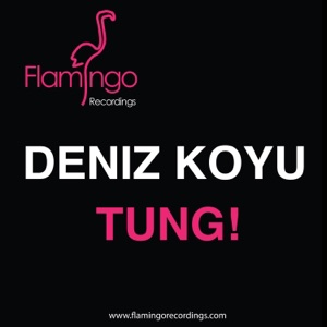 Deniz Koyu — Tung! (Original Mix) - 0:00