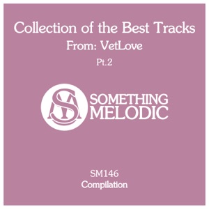Desib L — It's Only Just (VetLove Remix)