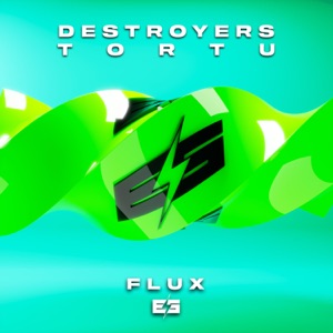 DESTROYERS/DJ TORTU — Flux
