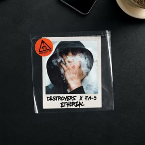 DESTROYERS/FM-3 — Ethereal