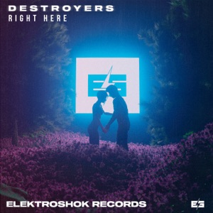 DESTROYERS — Right Here