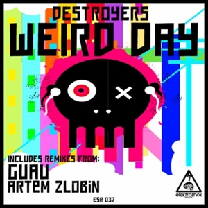 DESTROYERS — Weird Day
