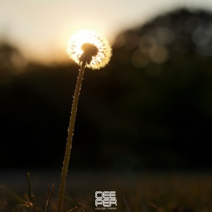 DIEEZ — Sweet Dreams