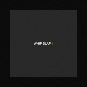 DIMENSION — Whip Slap Ii