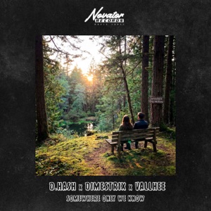 D.HASH, DIMESTRIX, VALLHEE — SOMEWHERE ONLY WE KNOW (2026)