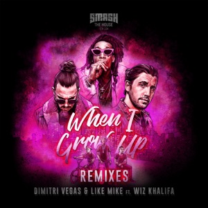 Dimitri Vegas & Like Mike feat. Wiz Khalifa — When I Grow Up (DVLM x HIDDN Remix) - 0:00