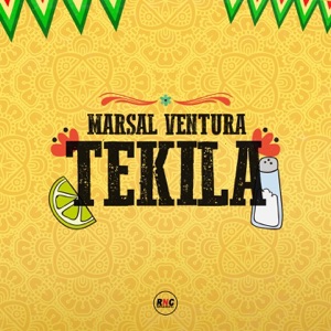 DJ Andrei Nash feat. Nathalia Morozova — Tekila (Radio Edit)