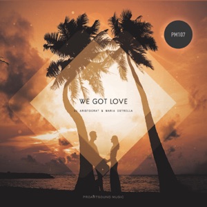 DJ ARISTOCRAT/MARIA ESTRELLA — We Got Love