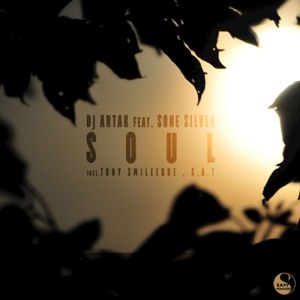 DJ Artak Feat. Sone Silver — Soul (S.A.T Remix)