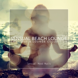 DJ de Giz — Evening Lounge (vol. 50)