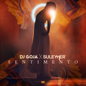 DJ Goja & Suleymer — Sentimento