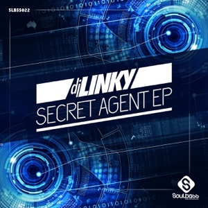 DJ LINKY — Foreign