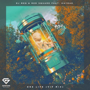 DJ Meg feat. Red Square & Kayrae — One Life (VIP Mix)