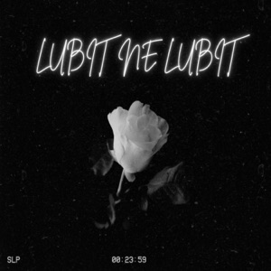 DJ Mird feat Elbrus Dzhanmirzoev — Lubit ne Lubit