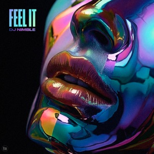 Dj Nimble — Feel It