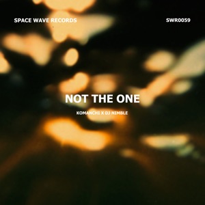 Dj Nimble — Not The One