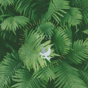 DJ Smash — Ptiza
